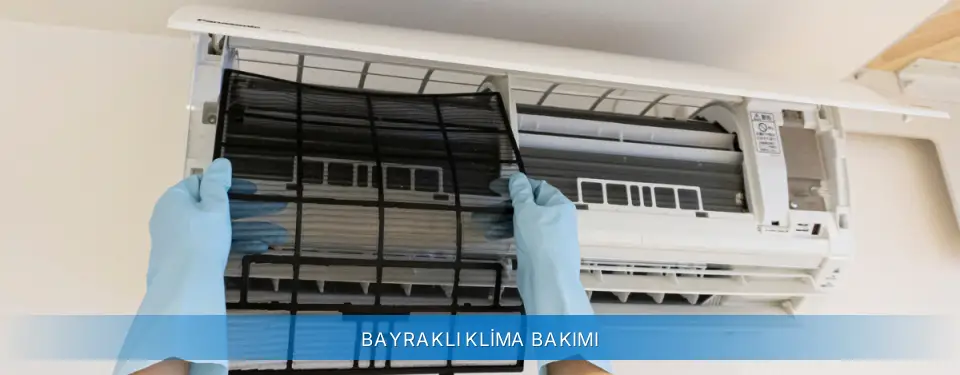 Bayraklı İlçemi Carrier Klima Bakımı