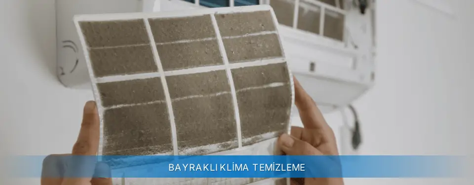 Bayraklı İlçemi Carrier Klima Temizleme